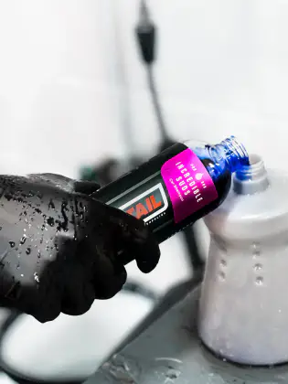 Paint Correction Detail in Mesa, AZ