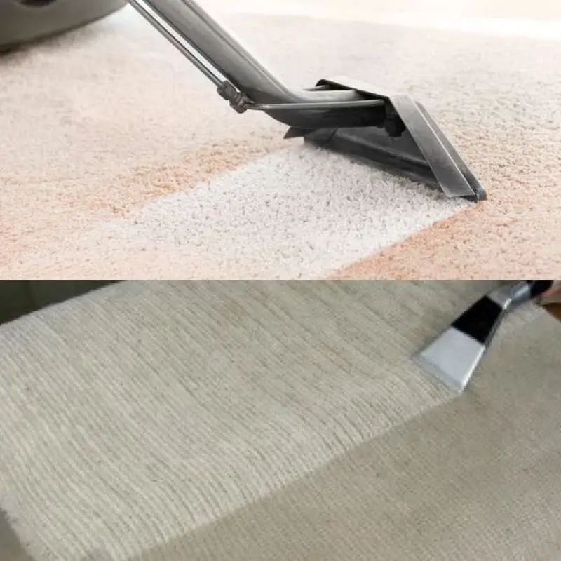 In-Home Services (Carpet and Upholstery Cleaning)