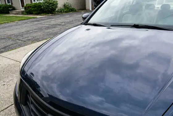 Sedan hood after paint correction, clear swirl-free reflection
